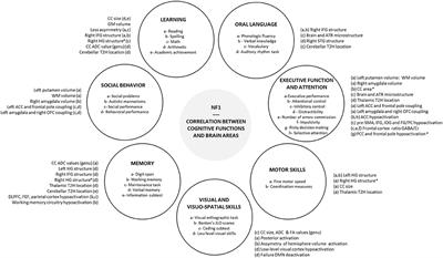 Can the Cognitive Phenotype in Neurofibromatosis Type 1 (NF1) Be Explained by Neuroimaging? A Review